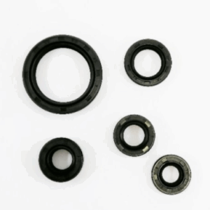 a9dab5b5 09f0 4484 975c 7310ffb2a569.png