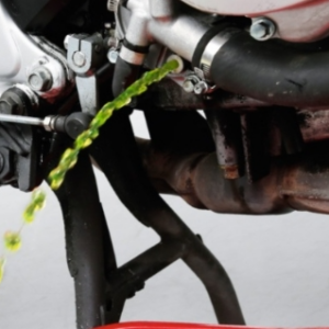 4ca4b788 db67 4da7 b64c 2260b44872b4.png