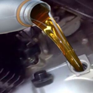 d6a85cda 0272 4600 aaca 601a0afbae1f.jpg